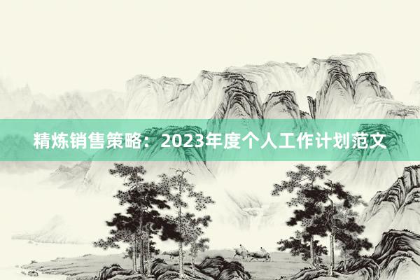 精炼销售策略：2023年度个人工作计划范文